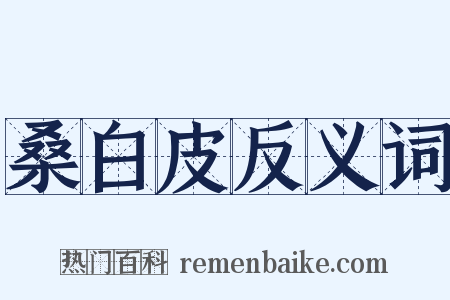 桑白皮反义词是什么意思的图片